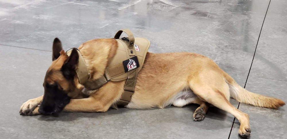 billy laying down