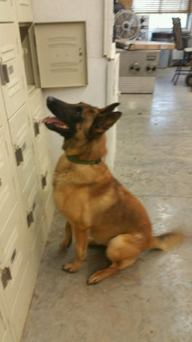 Billy at a small locker