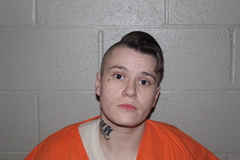 Mugshot of HILL, PARIS CHEYENNE 