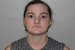 Mugshot of WARREN, CECILIA ANN 