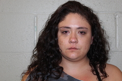 Mugshot of SCHUH, DINITA NANCY 